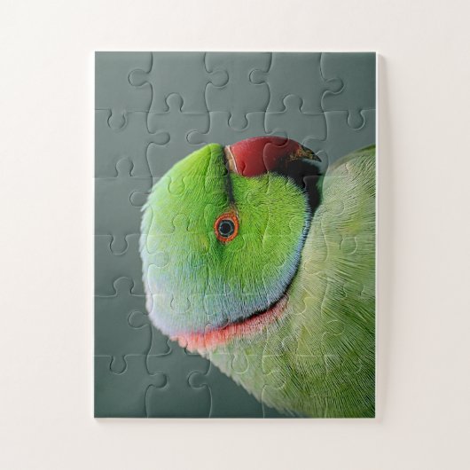 Het Roos Ringed Paraket Legpuzzel (Verticaal)