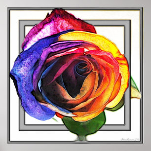 Het Roos van de regenboog omdoen Poster