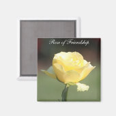 Het Roos van Vriendschap Magneet (Voorkant / Achterkant)