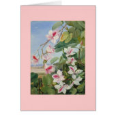 Het roze BloemenLot van de Liefde van de Vrede van (Voorkant)