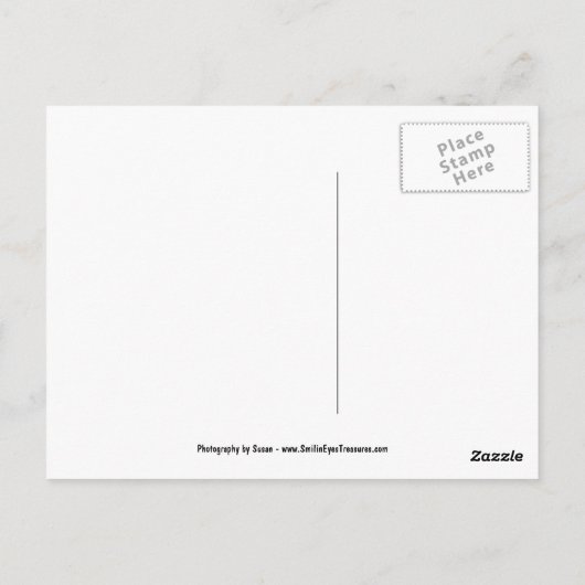 Het roze Briefkaart van de Bloem van de Bloesems