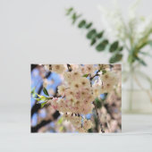 Het roze Briefkaart van de Bloem van de Bloesems (Staand voorkant)