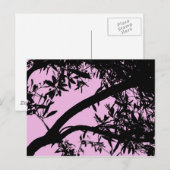 Het roze Briefkaart van de Boom (Voorkant / Achterkant)