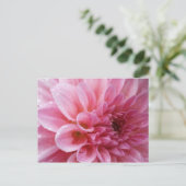 Het roze Briefkaart van de Chrysant (Staand voorkant)