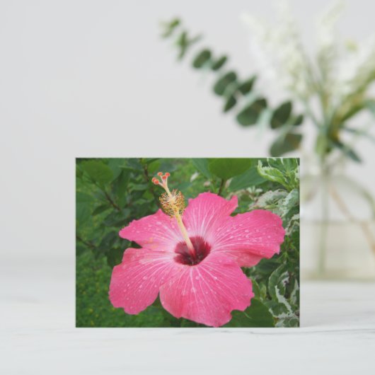 Het roze Briefkaart van de Hibiscus (Staand voorkant)