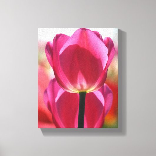 Het roze Canvas van de Tulp Afdruk (Voorkant)