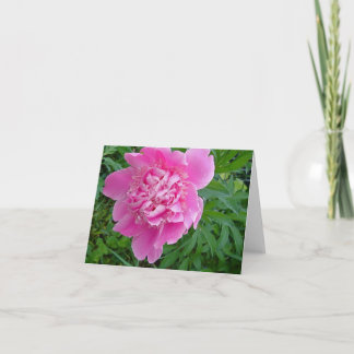 het roze collectie van peonie bloemennotecard kaart