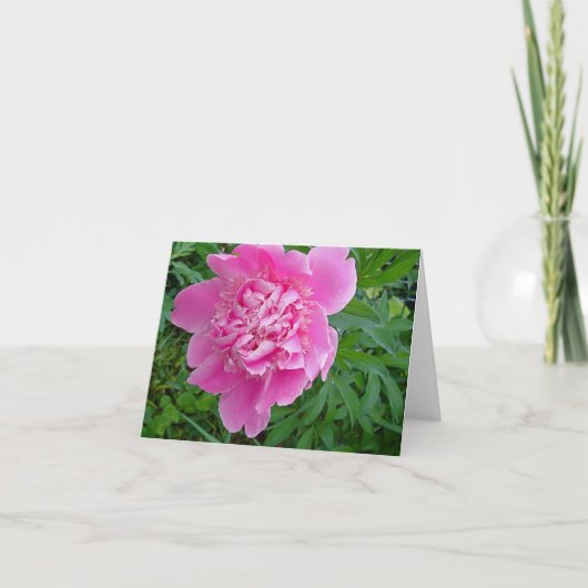 het roze collectie van peonie bloemennotecard kaart (Voorkant)