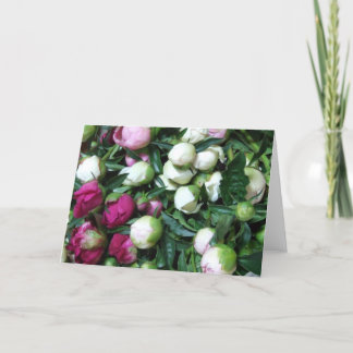 Het roze en Witte Wenskaart van de Knoppen van de Kaart