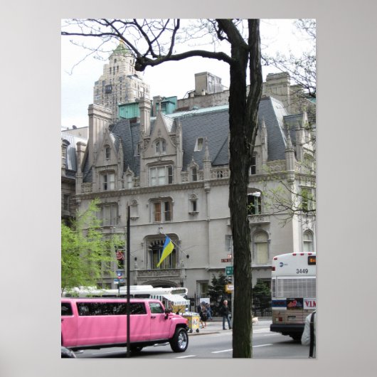 Het Roze Limo-Poster Poster (Voorkant)