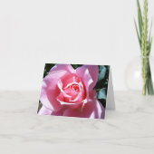 Het roze nam de Kaart van de Nota toe (Voorkant)