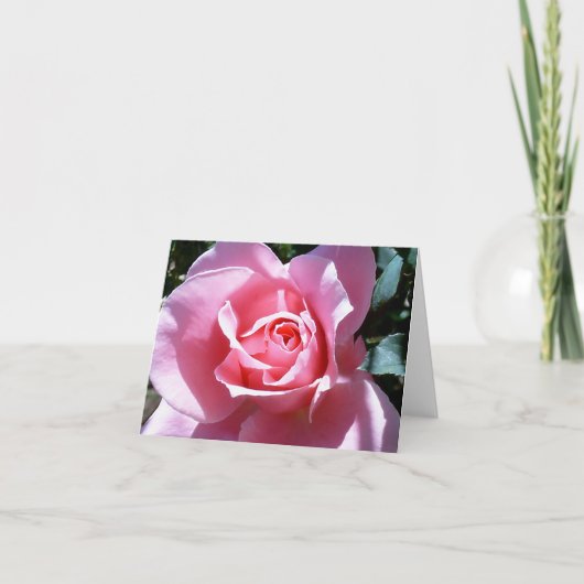 Het roze nam de Kaart van de Nota toe (Voorkant)