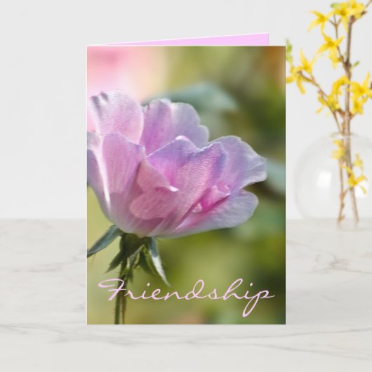 Het roze nam de Kaart van de Vriendschap toe (Gele Bloem)