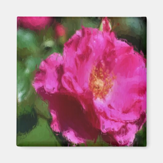 Het roze nam de Magneet van de Bloem van de (Voorkant)