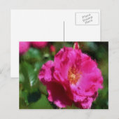 Het roze nam Krijt Trekkend BloemenBriefkaart toe Briefkaart (Voorkant / Achterkant)