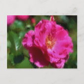 Het roze nam Krijt Trekkend BloemenBriefkaart toe Briefkaart (Voorkant)