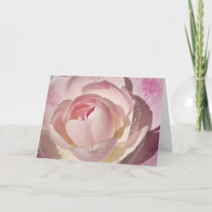 Het roze nam Leeg Wenskaart toe Kaart
