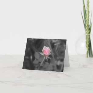 Het roze nam NoteCard toe (spatie binnen) Kaart