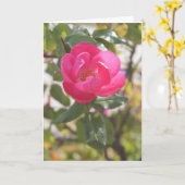 Het roze nam - Speciale Vriendschap toe Kaart (Gele Bloem)