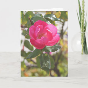 Het roze nam - Speciale Vriendschap toe Kaart