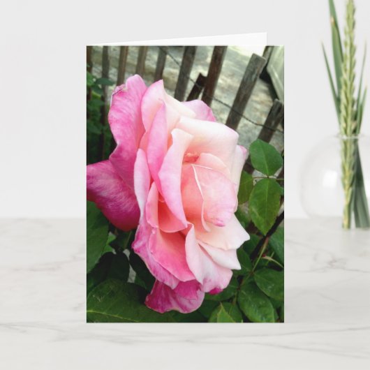 Het roze nam toe bedankkaart (Voorkant)