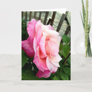 Het roze nam toe bedankkaart