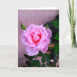 Het roze nam toe kaart