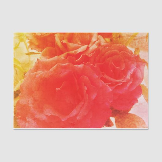 Het roze nam toe tissuepapier (Voorkant)
