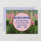 Het roze Nieuwe Briefkaart van het Adres wij beweg (Voorkant / Achterkant)