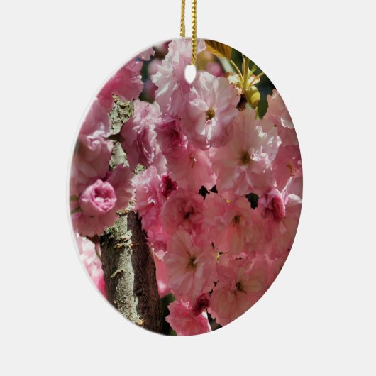 Het roze Ornament van de Bloem van de Bloesems van (Rechts)