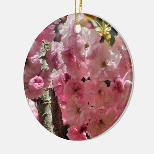 Het roze Ornament van de Bloem van de Bloesems van (Links)