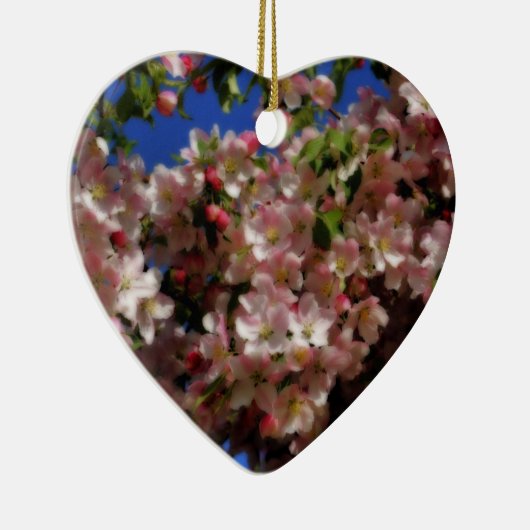 Het roze Ornament van de Bloem van de Bloesems van (Rechts)