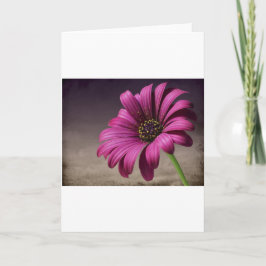 Het roze Paarse Art. van de Vrede van de Liefde Kaart