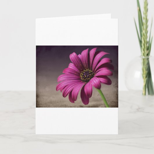Het roze Paarse Art. van de Vrede van de Liefde Kaart (Voorkant)