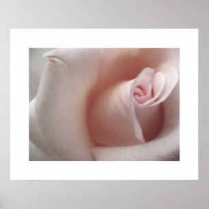 Het roze Poster