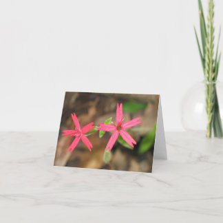 Het Roze van de brand - Customized2 Kaart