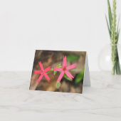 Het Roze van de brand - Customized2 Kaart (Voorkant)