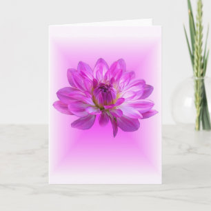 Het roze Wenskaart van de Dahlia Kaart