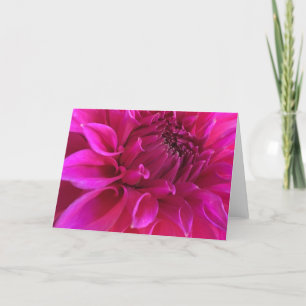 Het roze Wenskaart van de Dahlia Kaart