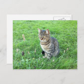 Het rubycotuesday-Briefkaart Briefkaart (Voorkant / Achterkant)