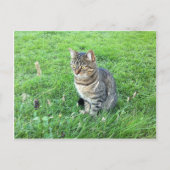 Het rubycotuesday-Briefkaart Briefkaart (Voorkant)