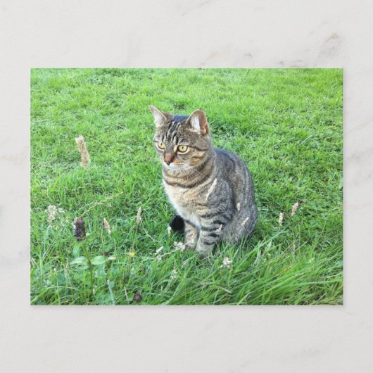 Het rubycotuesday-Briefkaart Briefkaart (Voorkant)