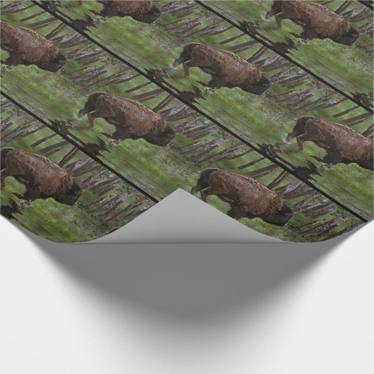 Het runnen van Buffalo & Bos, het Ontwerp van de b Cadeaupapier (Hoek)