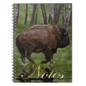 Het runnen van Buffalo & Bos, het Ontwerp van de b Notitieboek (Voorkant)