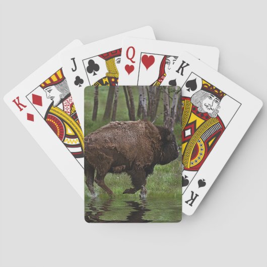 Het runnen van Buffalo & Bos, het Ontwerp van de b Pokerkaarten (Achterkant)