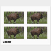 Het runnen van Buffalo & Bos, het Ontwerp van de b Rechthoekige Sticker (Vel)