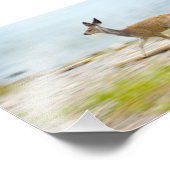 Het runnen van Verdwenen Foto Afdruk (Hoek)