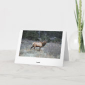 Het Rusten van de Elanden van de stier Kaart (Achterkant)