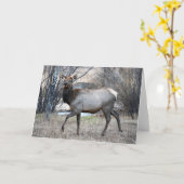 Het Rusten van de Elanden van de stier Kaart (Gele Bloem)