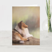 Het ruwe Wenskaart van de Collie Kaart (Voorkant)